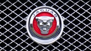 Close-up of Jaguar car emblem on a metallic chrome grille with a red background.