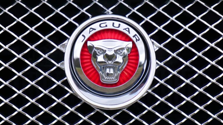 Close-up of Jaguar car emblem on a metallic chrome grille with a red background.